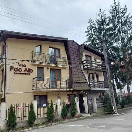 Vila Foc Alb Apartamente-부스테니 외부 사진