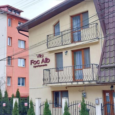 Vila Foc Alb Apartamente-부스테니 외부 사진