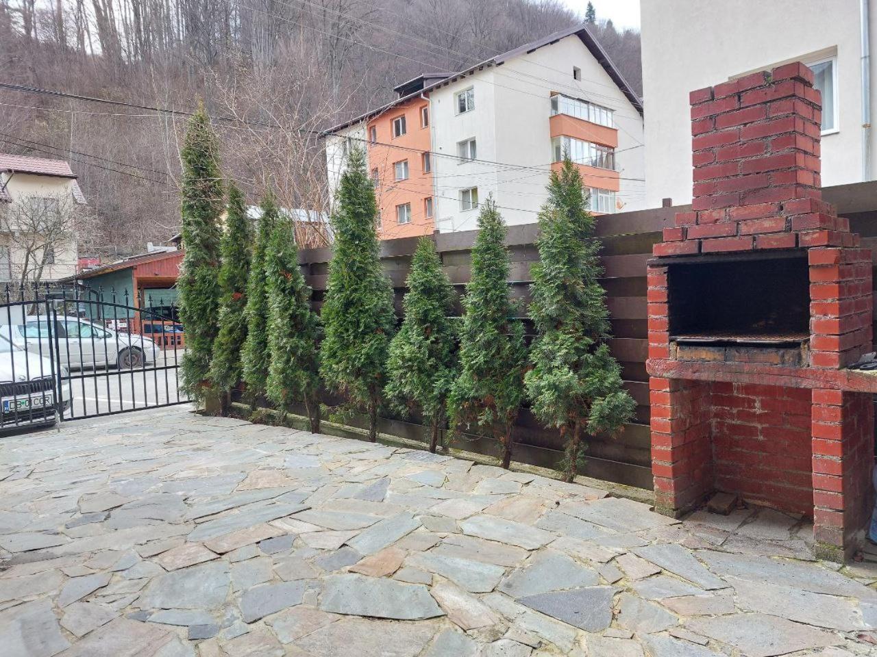 Vila Foc Alb Apartamente-부스테니 외부 사진