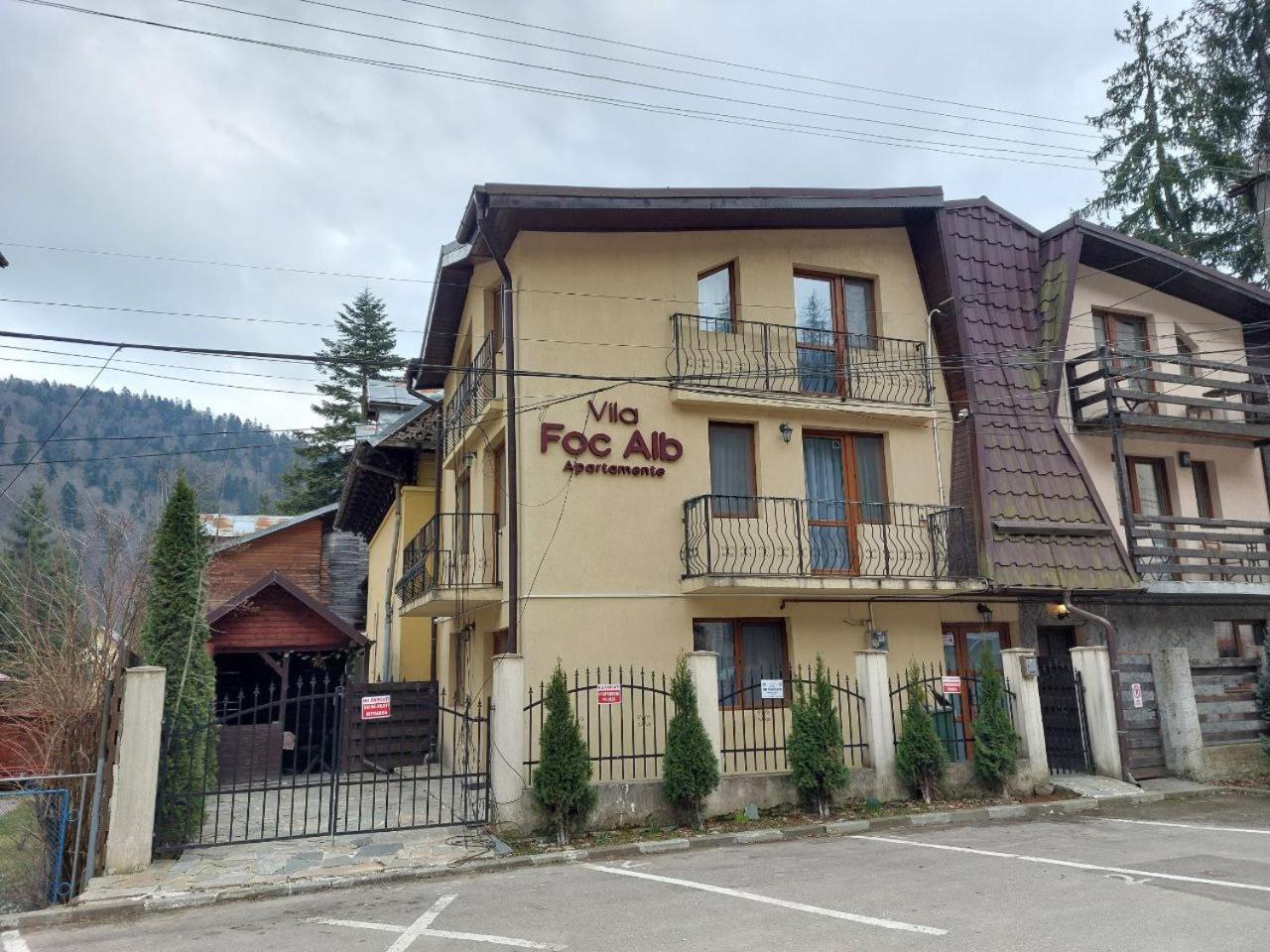 Vila Foc Alb Apartamente-부스테니 외부 사진