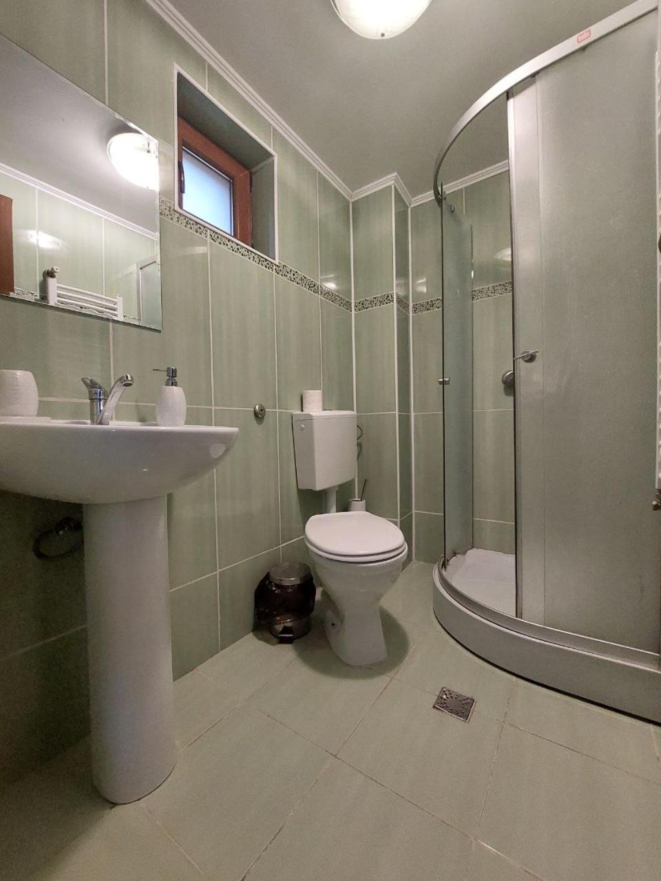 Vila Foc Alb Apartamente-부스테니 외부 사진