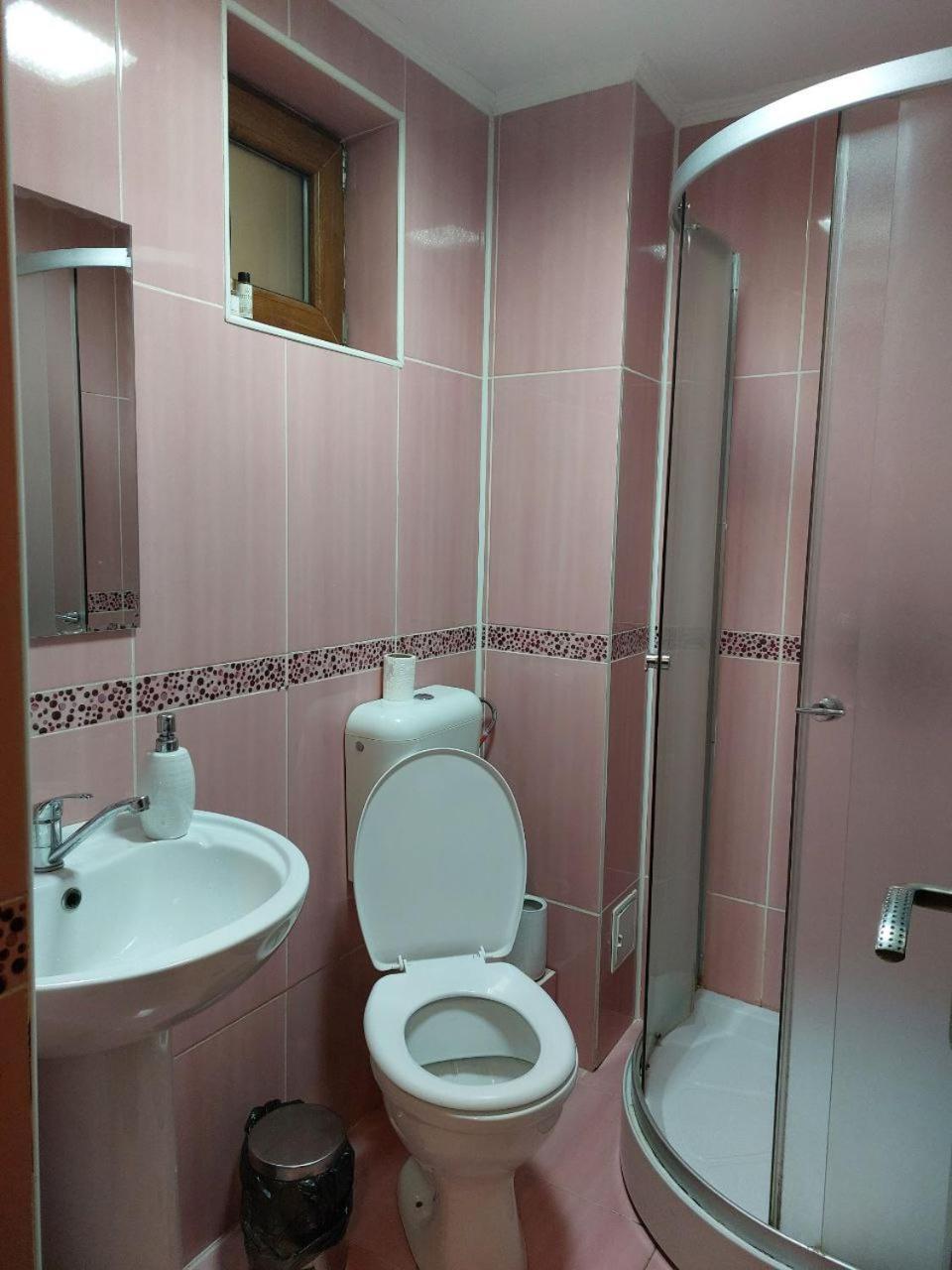 Vila Foc Alb Apartamente-부스테니 외부 사진